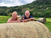 ein Bild aus dem Album